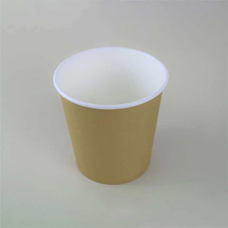 Ice Cream Cup